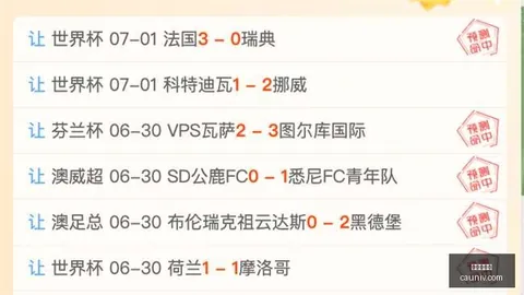 世界杯下注，下注技巧， 115050 9
